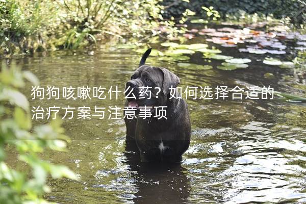 狗狗咳嗽吃什么药？如何选择合适的治疗方案与注意事项
