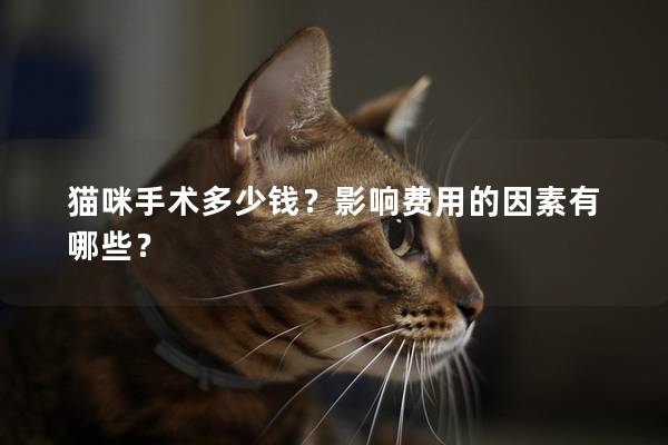 猫咪手术多少钱？影响费用的因素有哪些？