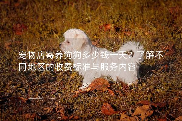 宠物店寄养狗狗多少钱一天？了解不同地区的收费标准与服务内容