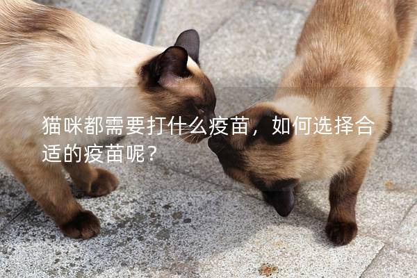 猫咪都需要打什么疫苗，如何选择合适的疫苗呢？