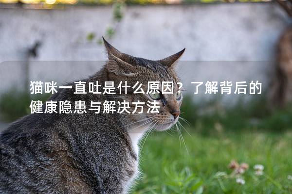猫咪一直吐是什么原因？了解背后的健康隐患与解决方法