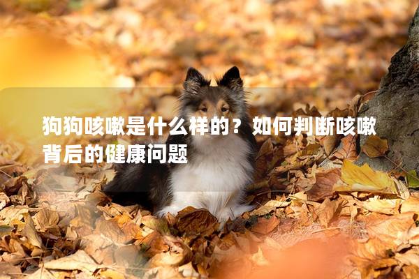 狗狗咳嗽是什么样的？如何判断咳嗽背后的健康问题