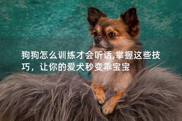 狗狗怎么训练才会听话,掌握这些技巧，让你的爱犬秒变乖宝宝