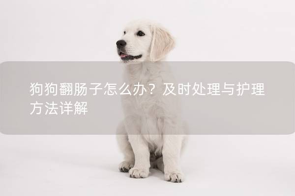 狗狗翻肠子怎么办？及时处理与护理方法详解