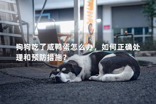 狗狗吃了咸鸭蛋怎么办，如何正确处理和预防措施？
