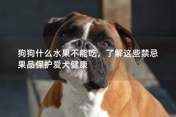 狗狗什么水果不能吃，了解这些禁忌果品保护爱犬健康