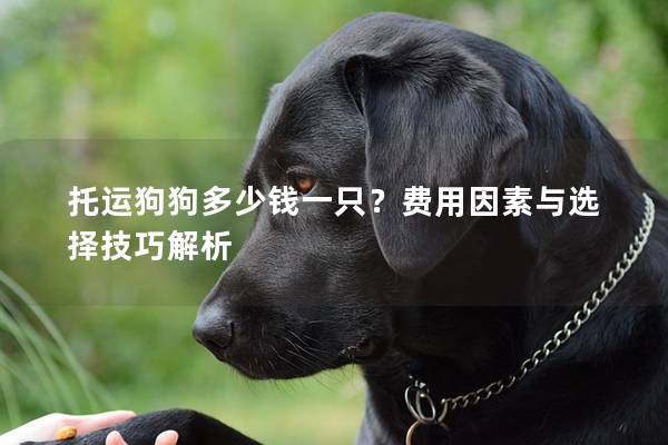托运狗狗多少钱一只？费用因素与选择技巧解析