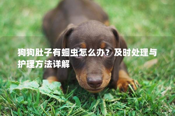 狗狗肚子有蛔虫怎么办？及时处理与护理方法详解