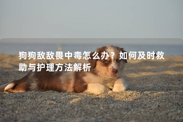 狗狗敌敌畏中毒怎么办？如何及时救助与护理方法解析