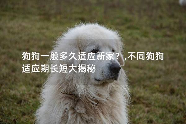 狗狗一般多久适应新家？,不同狗狗适应期长短大揭秘