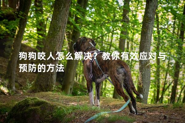 狗狗咬人怎么解决？教你有效应对与预防的方法