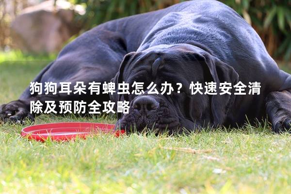 狗狗耳朵有蜱虫怎么办？快速安全清除及预防全攻略