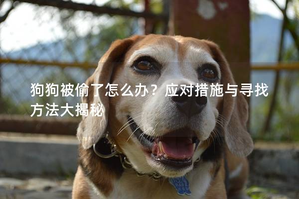 狗狗被偷了怎么办？应对措施与寻找方法大揭秘