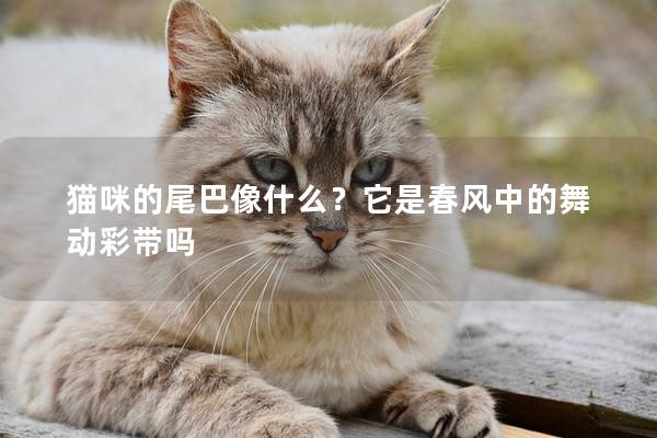 猫咪的尾巴像什么？它是春风中的舞动彩带吗