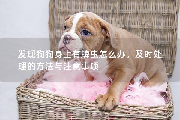 发现狗狗身上有蜱虫怎么办，及时处理的方法与注意事项