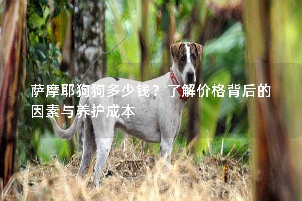 萨摩耶狗狗多少钱？了解价格背后的因素与养护成本