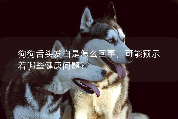 狗狗舌头发白是怎么回事，可能预示着哪些健康问题？
