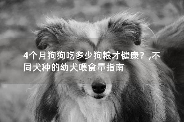 4个月狗狗吃多少狗粮才健康？,不同犬种的幼犬喂食量指南