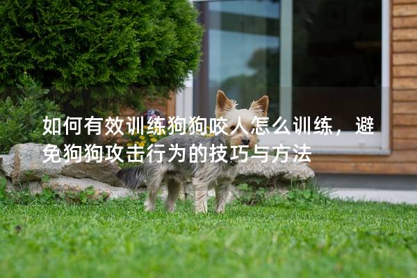 如何有效训练狗狗咬人怎么训练，避免狗狗攻击行为的技巧与方法