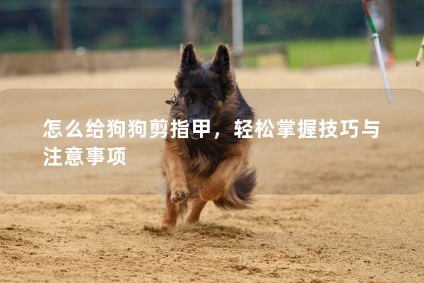 怎么给狗狗剪指甲，轻松掌握技巧与注意事项