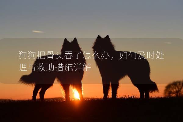 狗狗把骨头吞了怎么办，如何及时处理与救助措施详解