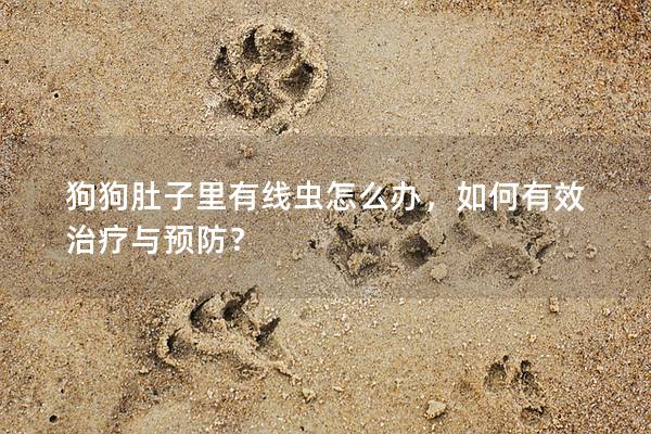 狗狗肚子里有线虫怎么办，如何有效治疗与预防？