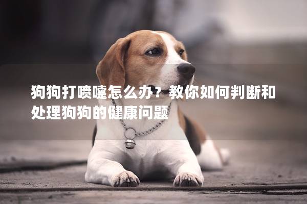 狗狗打喷嚏怎么办？教你如何判断和处理狗狗的健康问题
