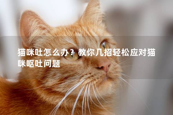 猫咪吐怎么办？教你几招轻松应对猫咪呕吐问题