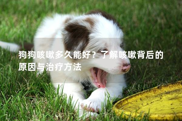 狗狗咳嗽多久能好？了解咳嗽背后的原因与治疗方法