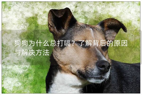 狗狗为什么总打嗝？了解背后的原因与解决方法