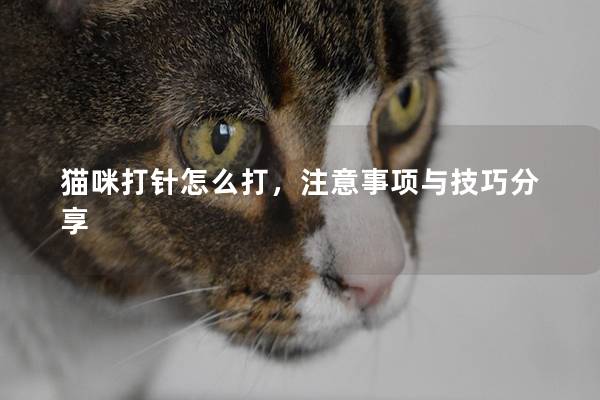 猫咪打针怎么打，注意事项与技巧分享