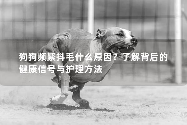 狗狗频繁抖毛什么原因？了解背后的健康信号与护理方法