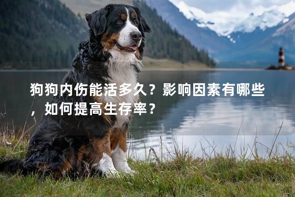 狗狗内伤能活多久？影响因素有哪些，如何提高生存率？