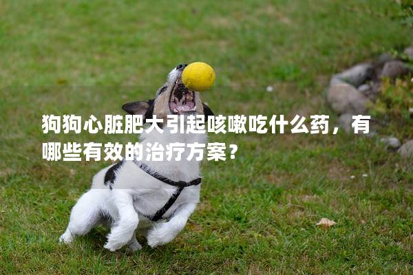 狗狗心脏肥大引起咳嗽吃什么药，有哪些有效的治疗方案？