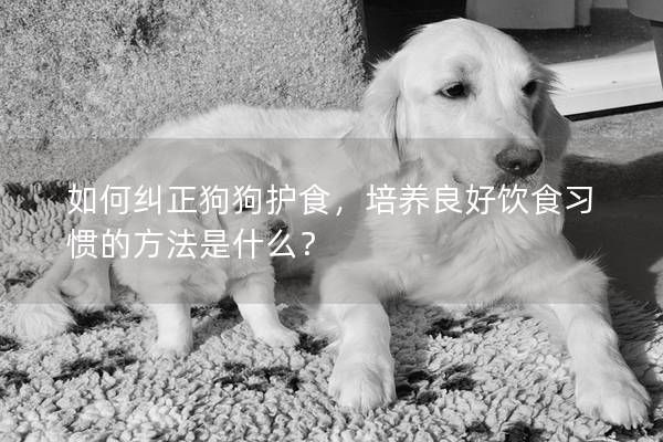 如何纠正狗狗护食，培养良好饮食习惯的方法是什么？