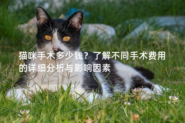 猫咪手术多少钱？了解不同手术费用的详细分析与影响因素