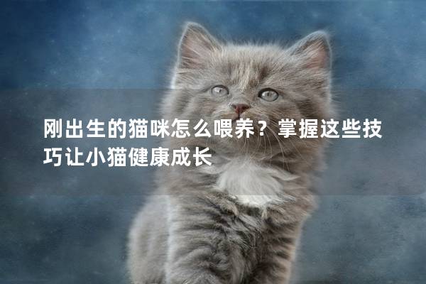 刚出生的猫咪怎么喂养？掌握这些技巧让小猫健康成长