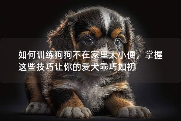 如何训练狗狗不在家里大小便，掌握这些技巧让你的爱犬乖巧如初