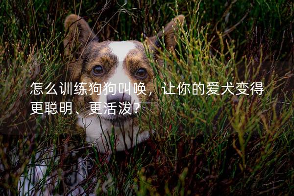 怎么训练狗狗叫唤，让你的爱犬变得更聪明、更活泼？