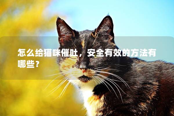 怎么给猫咪催吐，安全有效的方法有哪些？