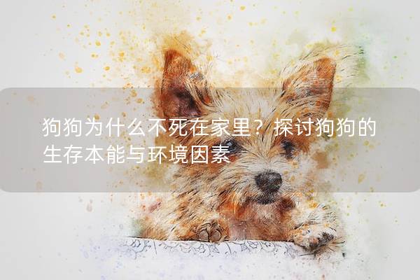 狗狗为什么不死在家里？探讨狗狗的生存本能与环境因素