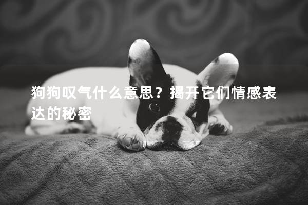 狗狗叹气什么意思？揭开它们情感表达的秘密