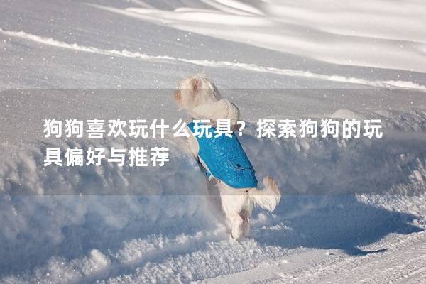 狗狗喜欢玩什么玩具？探索狗狗的玩具偏好与推荐