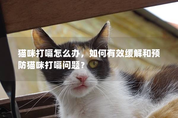 猫咪打嗝怎么办，如何有效缓解和预防猫咪打嗝问题？
