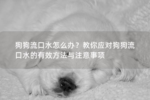 狗狗流口水怎么办？教你应对狗狗流口水的有效方法与注意事项
