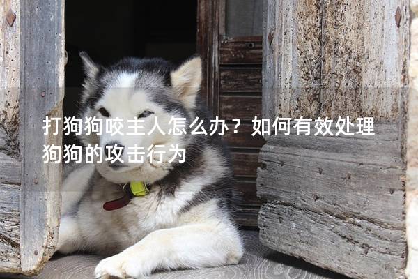 打狗狗咬主人怎么办？如何有效处理狗狗的攻击行为