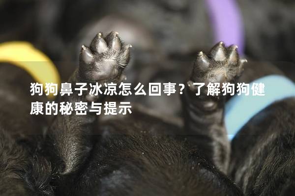 狗狗鼻子冰凉怎么回事？了解狗狗健康的秘密与提示