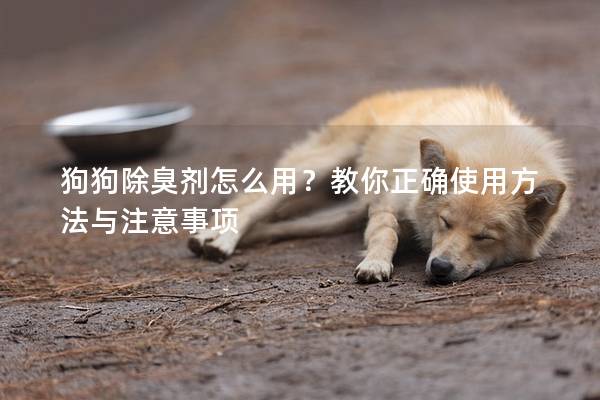 狗狗除臭剂怎么用？教你正确使用方法与注意事项