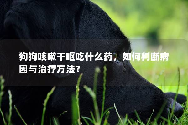 狗狗咳嗽干呕吃什么药，如何判断病因与治疗方法？