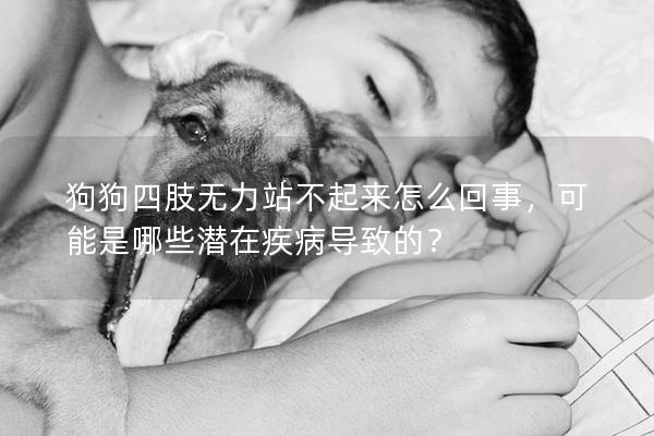 狗狗四肢无力站不起来怎么回事，可能是哪些潜在疾病导致的？